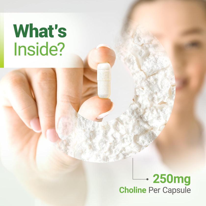 Nested Naturals Choline Bitartrate 500mg Per 2 Capsules | High Potency Choline Supplements | Supports Cognitive & Liver Function | 100% Vegan & Non-GMO Choline | 90 Vegan Capsules 🍁 All In One Marketplace Canada