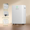 HOGARLABS 34 Pint Smart Dehumidifiers for Home and Basements, with 3 Working Modes, Overflow Protection, and Auto Shut off Restart. Ultra Silent Dehumidifier with Drain Hose and Digital Control Panel. 🍁 All In One Marketplace Canada