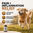 CB2 Hemp Oil for Dogs [225,000mg / 240mL / Organic] - Natural Hip and Joint Supplement for Dogs - Calming Anxiety Relief - Extra Strength for Pain, Inflammation, Arthritis, Stress, Aggression 🍁 All In One Marketplace Canada