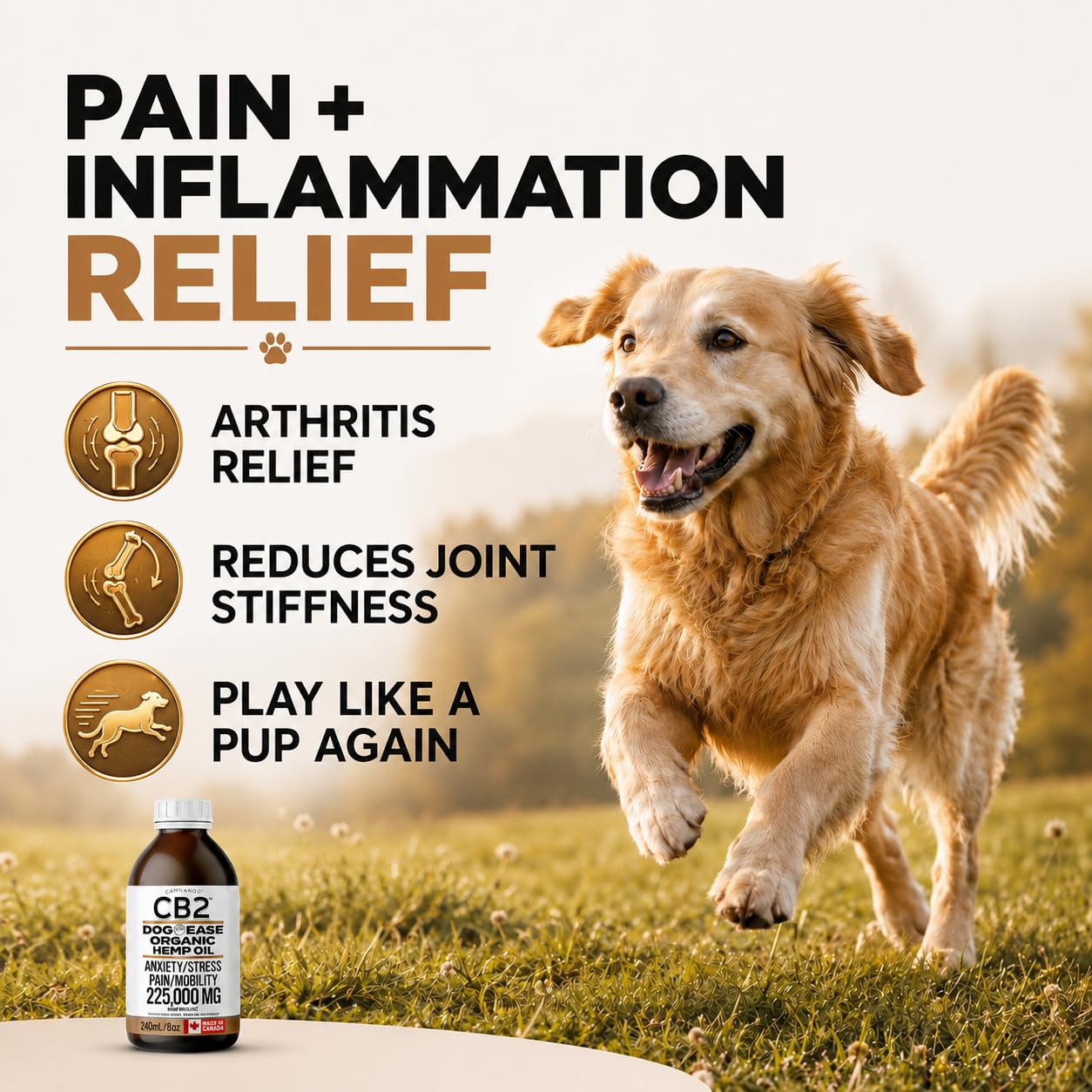 CB2 Hemp Oil for Dogs [225,000mg / 240mL / Organic] - Natural Hip and Joint Supplement for Dogs - Calming Anxiety Relief - Extra Strength for Pain, Inflammation, Arthritis, Stress, Aggression 🍁 All In One Marketplace Canada