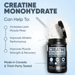 Pure Micronized Creatine Dissolves Easily | Creatine Monohydrate Powder 425g - For Increased Muscle Growth & Performance - Supports Athletic Performance - Creatine Powder for Workouts - 85 Servings 🍁 All In One Marketplace Canada