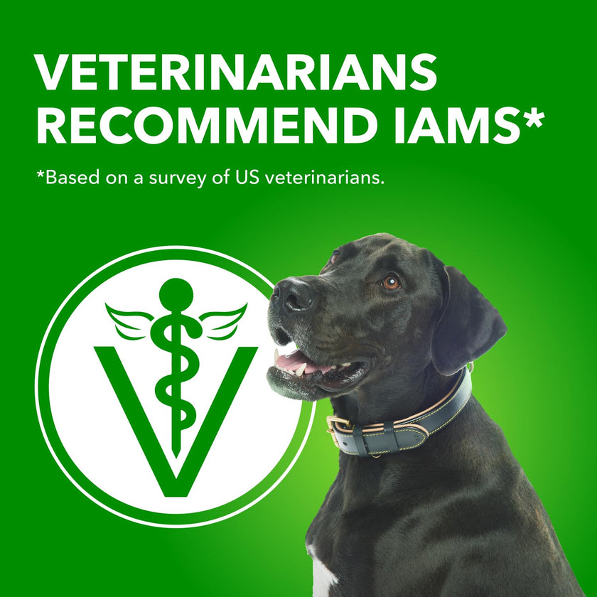 IAMS Proactive Health Minichunks Dry Dog Food – Crunchy Kibble For Adult Dogs – Lamb & Rice Recipe – 13.6KG (30LB) Bag 🍁 All In One Marketplace Canada