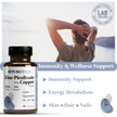 PUREFULLY Zinc Picolinate 25mg with Copper 2mg Capsules - Multi-Mineral Zinc with Copper Supplement for Immune Support - Vegan, Gluten Free (90 capsules) 🍁 All In One Marketplace Canada