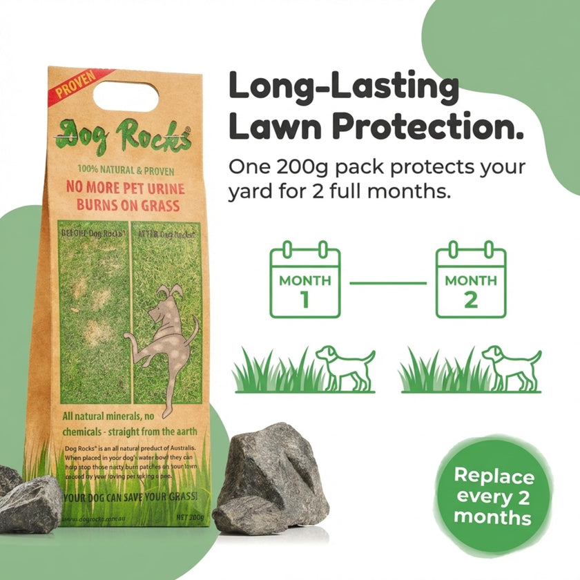 Dog Rocks Prevent Grass Burn Marks, 2 Month Supply 🍁 All In One Marketplace Canada