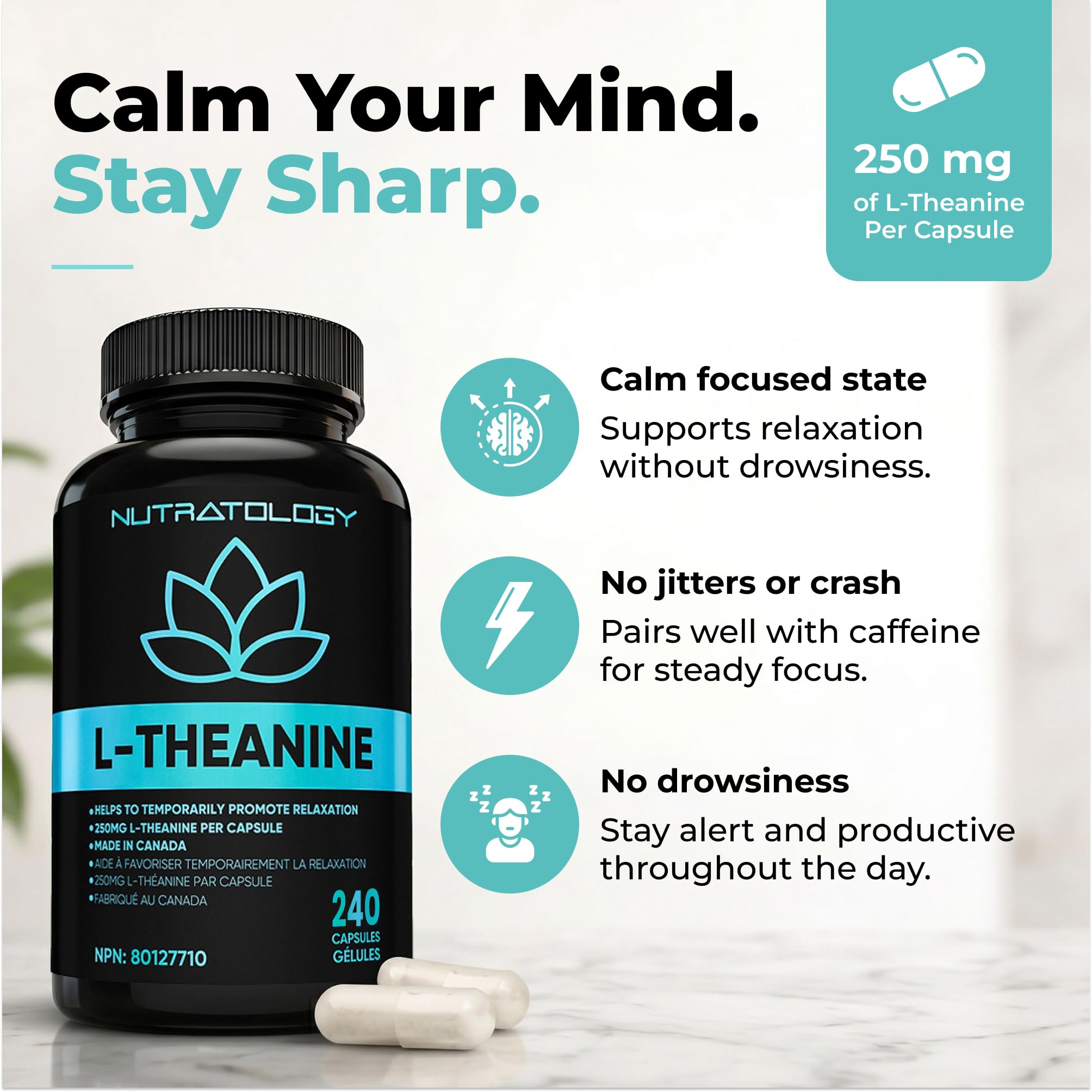 Nutratology® L-Theanine 250MG Capsules | Canadian-Made | For Stress Management | Promotes Relaxation & Calmness Without Drowsiness - L-Theanine Supplement for Stress Relief | 240 Capsules 🍁 All In One Marketplace Canada