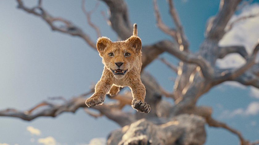 Mufasa: The Lion King - Blu-Ray/DVD