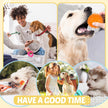 Puppy Toys 21 Pack, Small Dog Chew Toys with Rope Toys for Teething Pet Cute Squeak Toy with Treating Ball for Puppy, Small Dogs 🍁 All In One Marketplace Canada