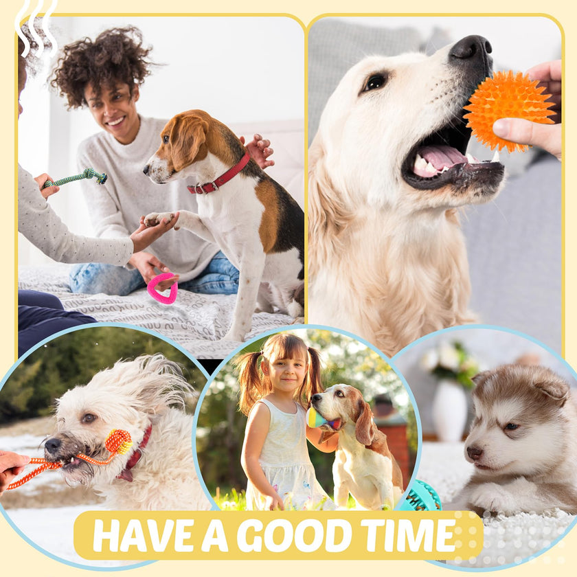 Puppy Toys 21 Pack, Small Dog Chew Toys with Rope Toys for Teething Pet Cute Squeak Toy with Treating Ball for Puppy, Small Dogs 🍁 All In One Marketplace Canada