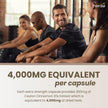Herba Ceylon Cinnamon Capsules 4000mg - 180 Vegetable Capsules | Powerful 20:1 Extract from Sri Lanka | Equivalent to 4,000mg Dry Ceylon Cinnamon Powder | Made in Canada 🍁 All In One Marketplace Canada