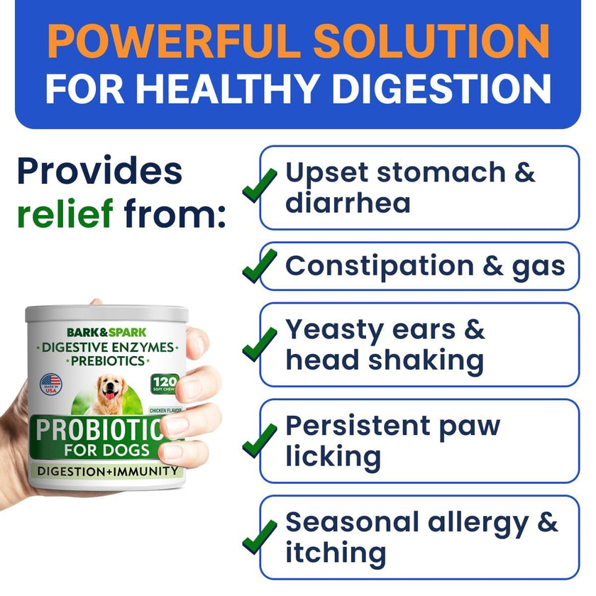 Probiotics for Dogs - Gas, Diarrhea, Allergy, Constipation, Upset Stomach Relief, w/Digestive Enzymes + Prebiotics - Chewable Supplement - Improve Digestion, Immunity - Dog Probiotics Chews - 120Ct 🍁 All In One Marketplace Canada