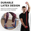 THERABAND Resistance Bands Set, 7 Pack 6 ft Exercise Bands, Light to Extra Heavy Levels 1–7, Latex Stretch Bands for Strength Training, Pilates, Mobility & Full Body Home Workouts 🍁 All In One Marketplace Canada