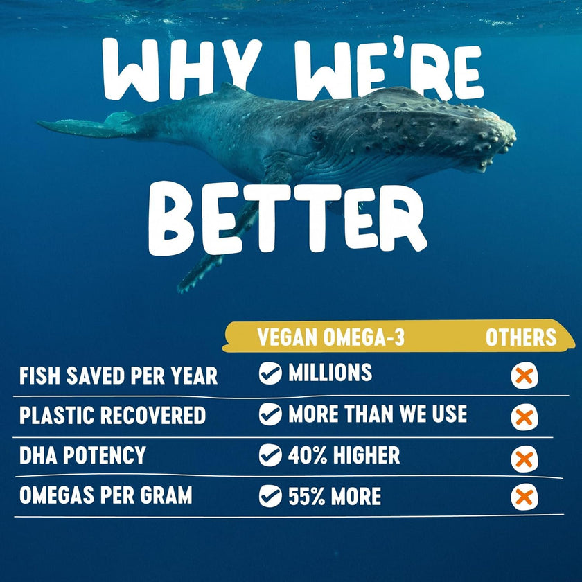 Freshfield Vegan Omega 3, Algae (Algal) Oil, Fish Oil Free Company, Third Party Tested, Carrageenan Free, DHA Supplement w/DPA, Plant Based Omega. Supports Heart, Brain, Joint Health 🍁 All In One Marketplace Canada