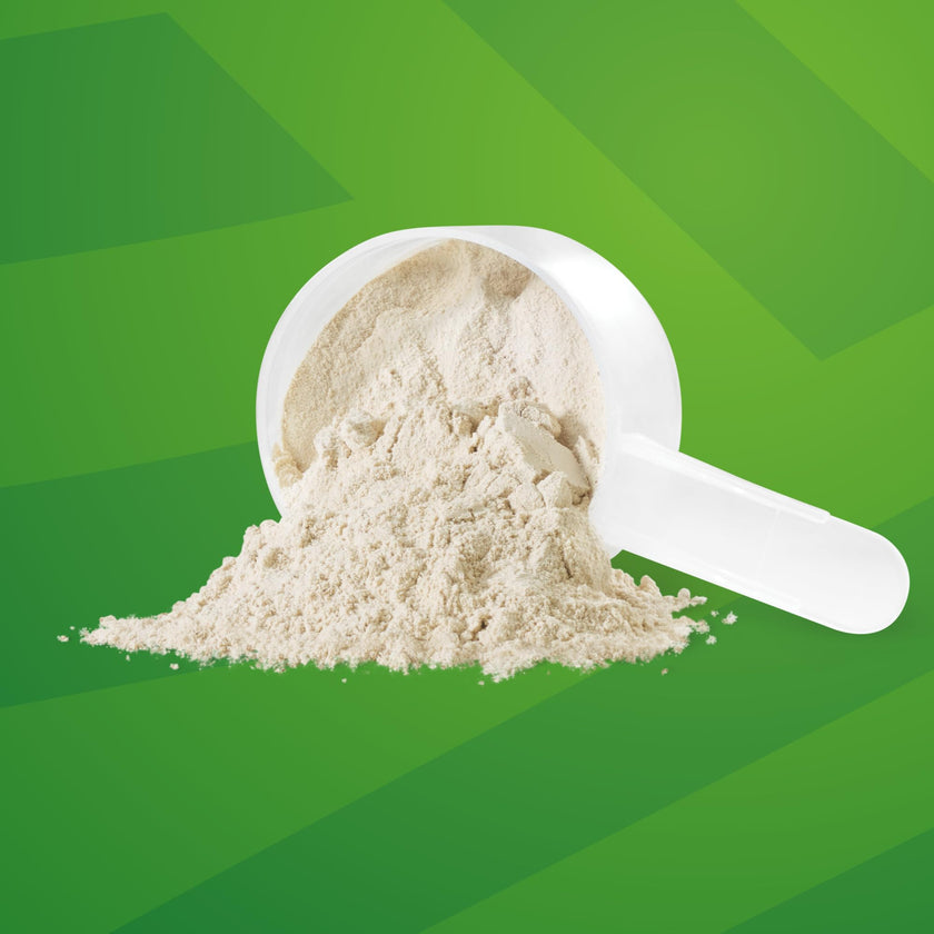 Sprouted Protein, Unflavoured, 1kg | Vegan, plant-based, organic, gluten-free, Beige 🍁 All In One Marketplace Canada