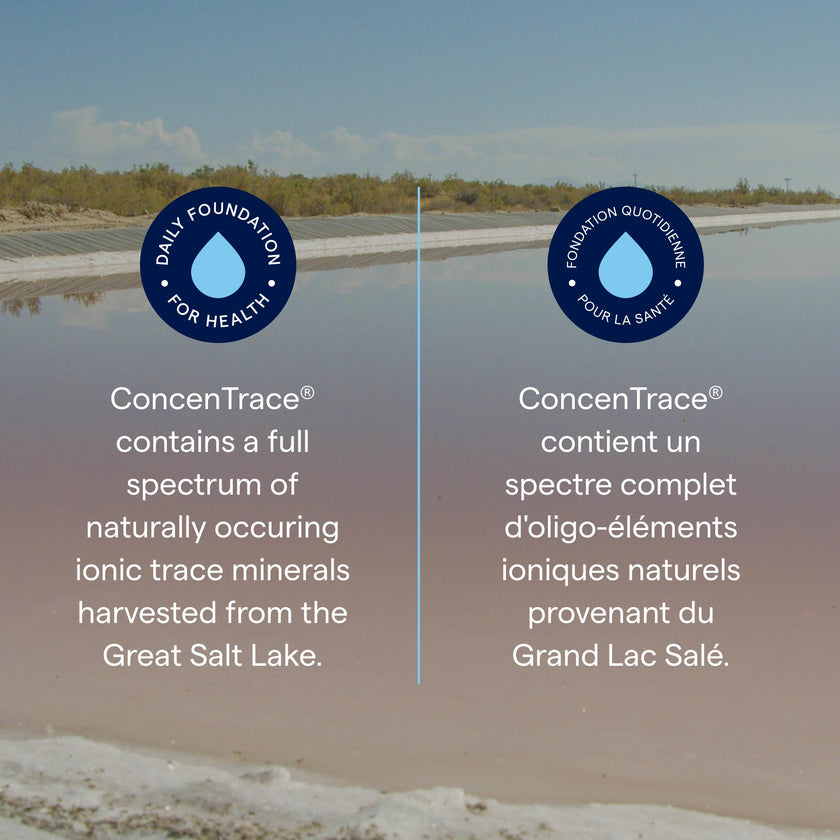 Trace Minerals ConcenTrace Drops | 60 ML | Full Spectrum Minerals | Ionic Liquid Magnesium, Chloride, Potassium | Low Sodium | Energy, Electrolytes, Hydration 🍁 All In One Marketplace Canada