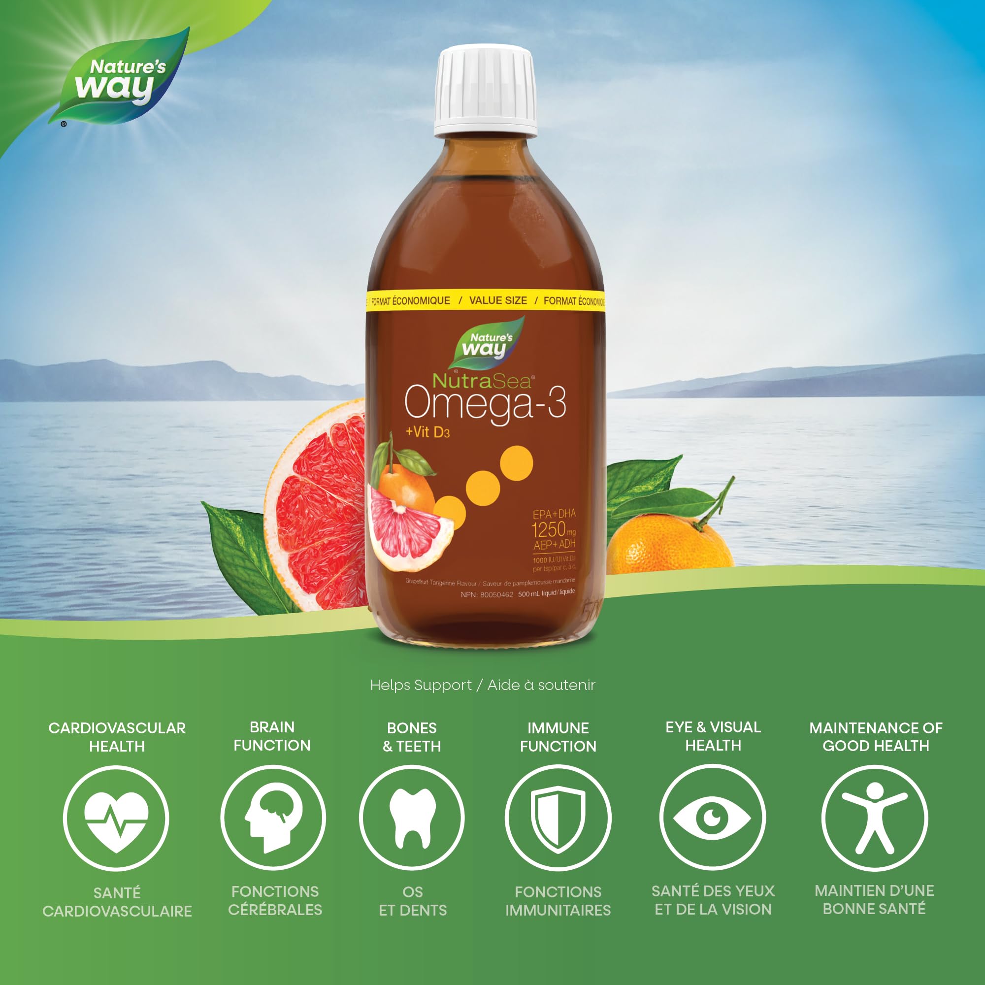 Nature's Way NutraSea Omega 3 + Vitamin D Fish Oil Liquid Supplement – Grapefruit Tangerine Flavour – Heart, Brain, Bone & Immune Support – EPA & DHA + 1000IU D3, 500 mL 🍁 All In One Marketplace Canada
