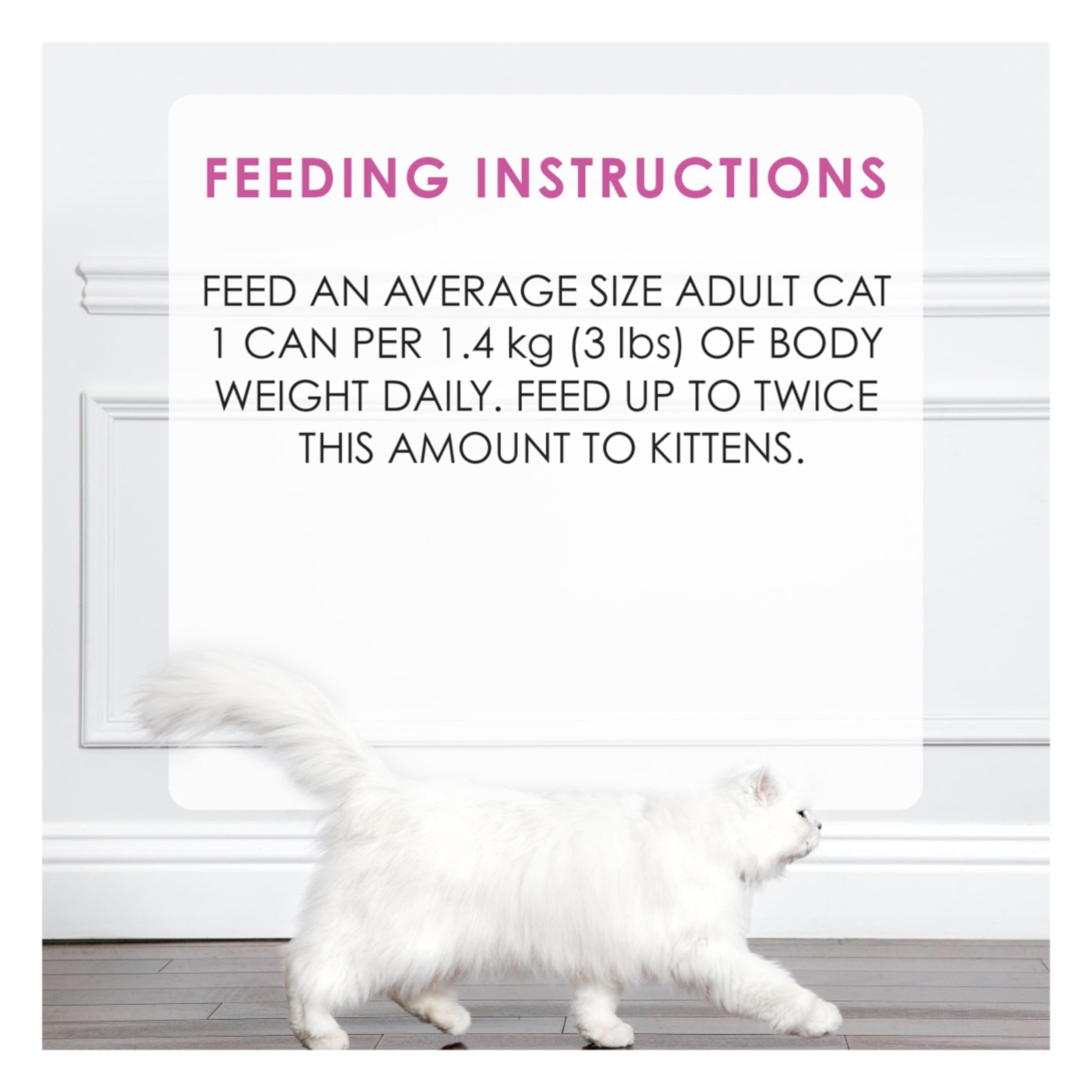 Fancy Feast Gravy Lovers Pâté Wet Cat Food, Chicken in Gravy 85g (24 Pack) 🍁 All In One Marketplace Canada