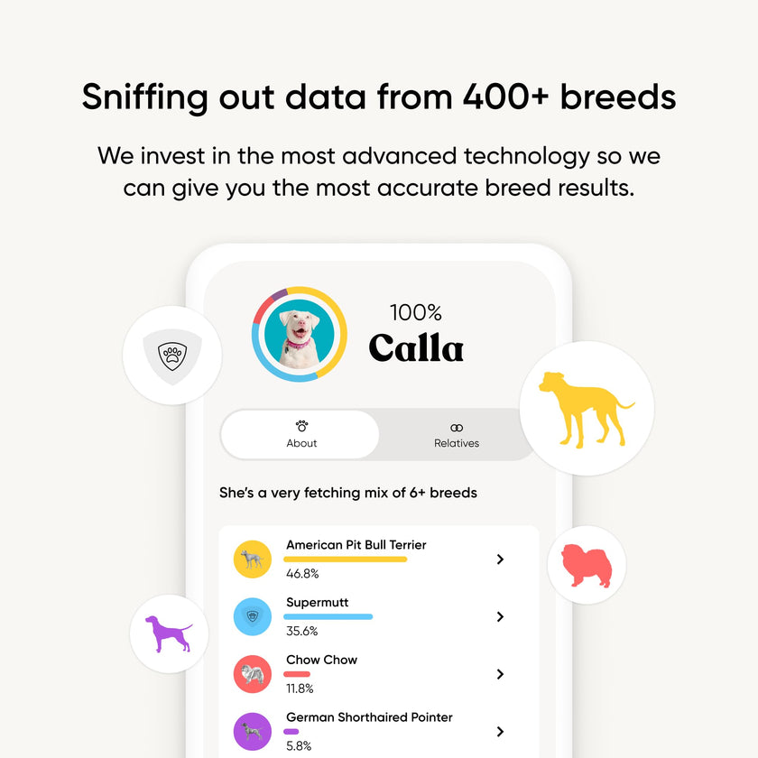 Embark Breed Identification Kit Most Accurate Dog DNA Test Test 350+ Dog Breeds Breed ID Kit with Ancestry & Family Tree 🍁 All In One Marketplace Canada