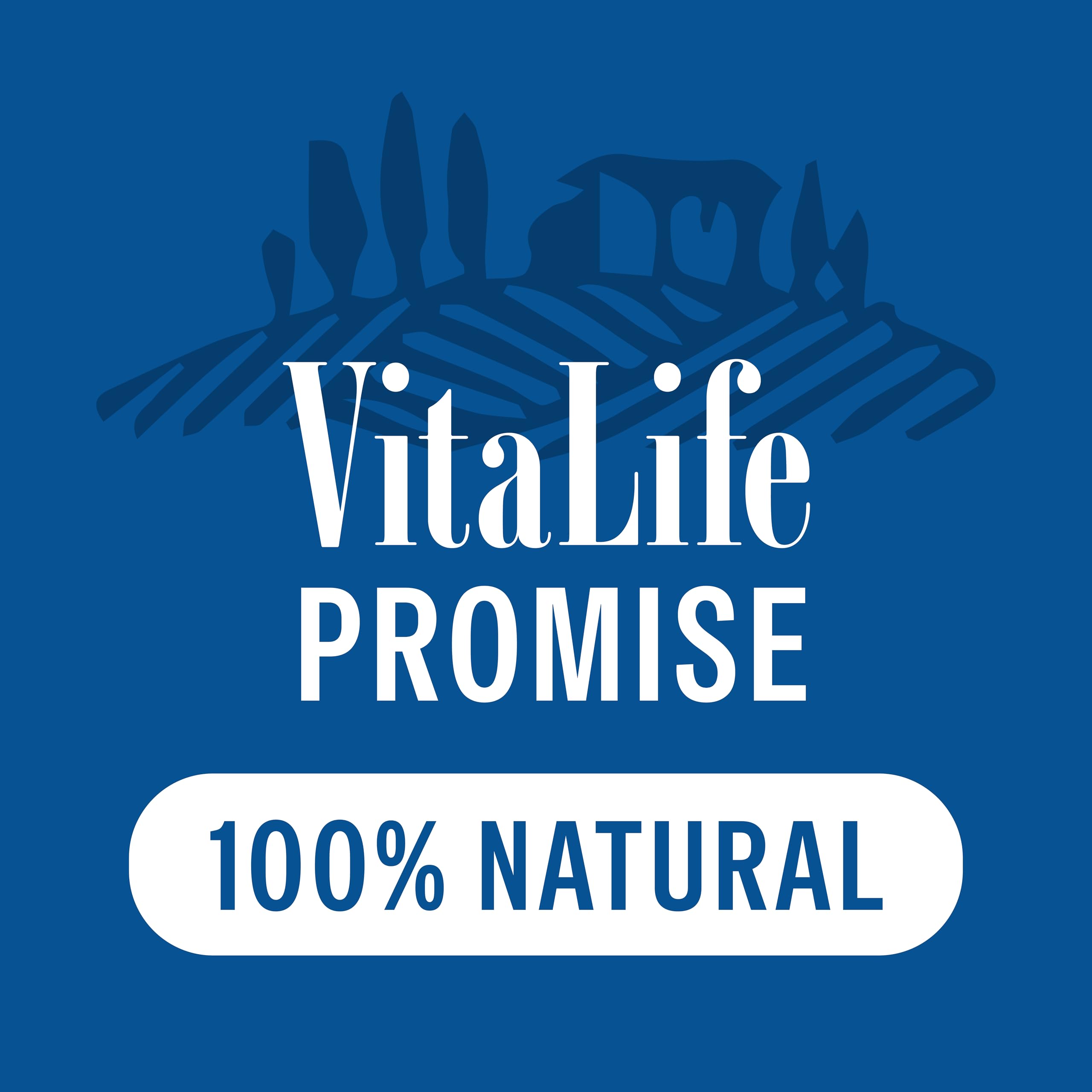 VitaLife All Natural Dog Treats - Chicken Tenders 750g, Dark Green 🍁 All In One Marketplace Canada