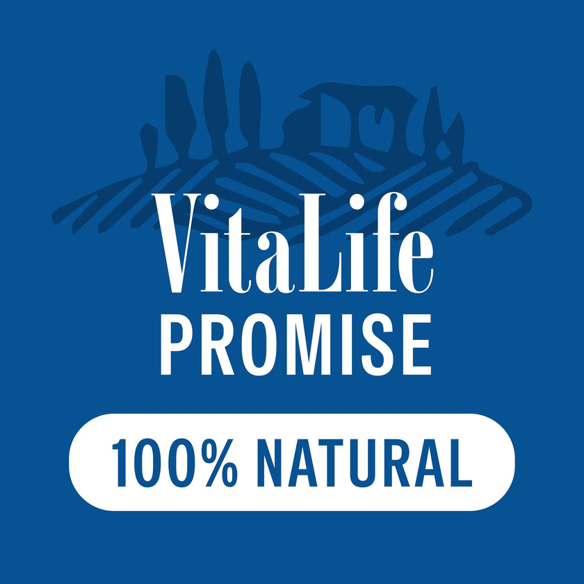 VitaLife All Natural Dog Treats - Chicken Tenders 750g, Dark Green 🍁 All In One Marketplace Canada