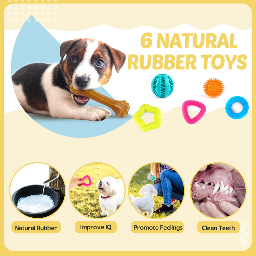 Puppy Toys 21 Pack, Small Dog Chew Toys with Rope Toys for Teething Pet Cute Squeak Toy with Treating Ball for Puppy, Small Dogs 🍁 All In One Marketplace Canada