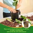 Legigo 2 litres Organic Orchid Potting Bark- All Natural Orchid Bark Potting Mix Pine Bark Wood Chips for Houseplant Mulch, Plants Root Development 🍁 All In One Marketplace Canada