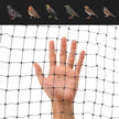 Bird Netting for Garden 7 x 100 Feet, Black Garden Protection Netting Heavy Duty Wire Mesh Net Barrier, Protect Plants Fruits Trees from Rodents Birds Deer Poultry Reusable Animal Fencing (1) 🍁 All In One Marketplace Canada