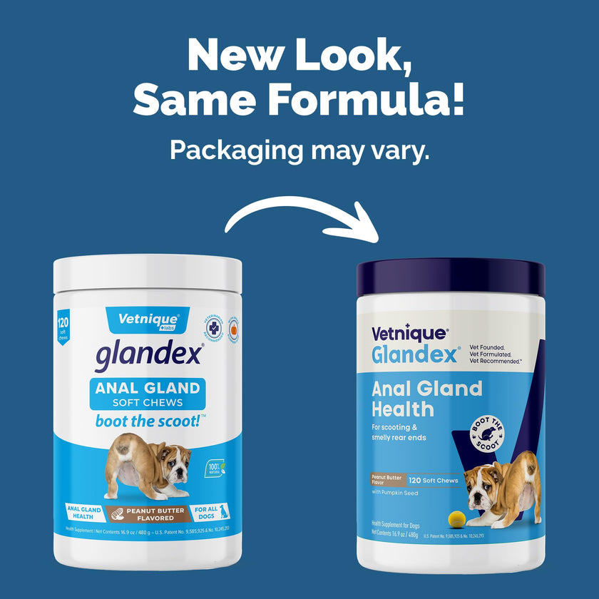 Glandex Anal Gland Soft Chew Treats with Pumpkin for Dogs Chews with Digestive Enzymes, Probiotics Fiber Supplement for Dogs – Vet Recommended - Boot The Scoot (Peanut Butter, 120ct Chews) 🍁 All In One Marketplace Canada