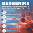 Berberine Supplement HCL 1000mg (2 x 500mg Vegan Capsules) | High Potency Berberine Supports Glucose, Fat Metabolism & Heart Health | Third Party Tested for Potency & Purity | Canadian Made, Quality Assured 🍁 All In One Marketplace Canada