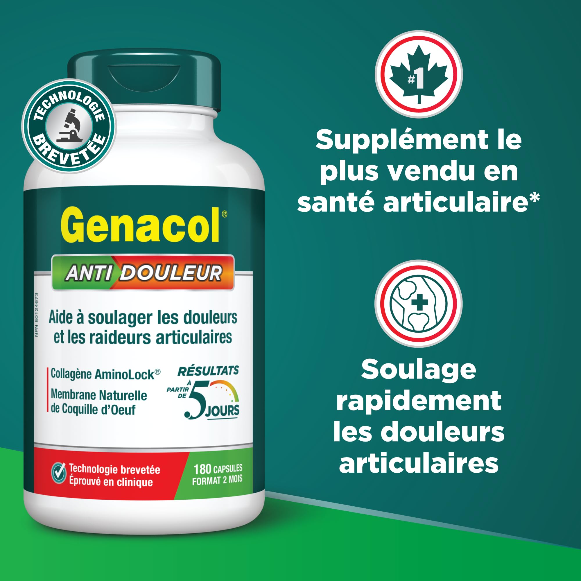 Genacol Pain Relief (60-Day Supply) – Natural Eggshell Membrane and Ultra-Hydrolyzed Collagen Peptides, Joint Pain Relief Supplement, Results in Just 5 Days, Value Pack, 180 Capsules 🍁 All In One Marketplace Canada