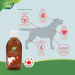 Nature’s Way NutraSea Omega-3 Canine Supplement for Dogs – Helps Support Dogs’ Skin, Coat, Muscles, Joints, Heart & Brain – 1170 mg of EPA + DHA – Smoky Meat Flavour, 200 mL 🍁 All In One Marketplace Canada
