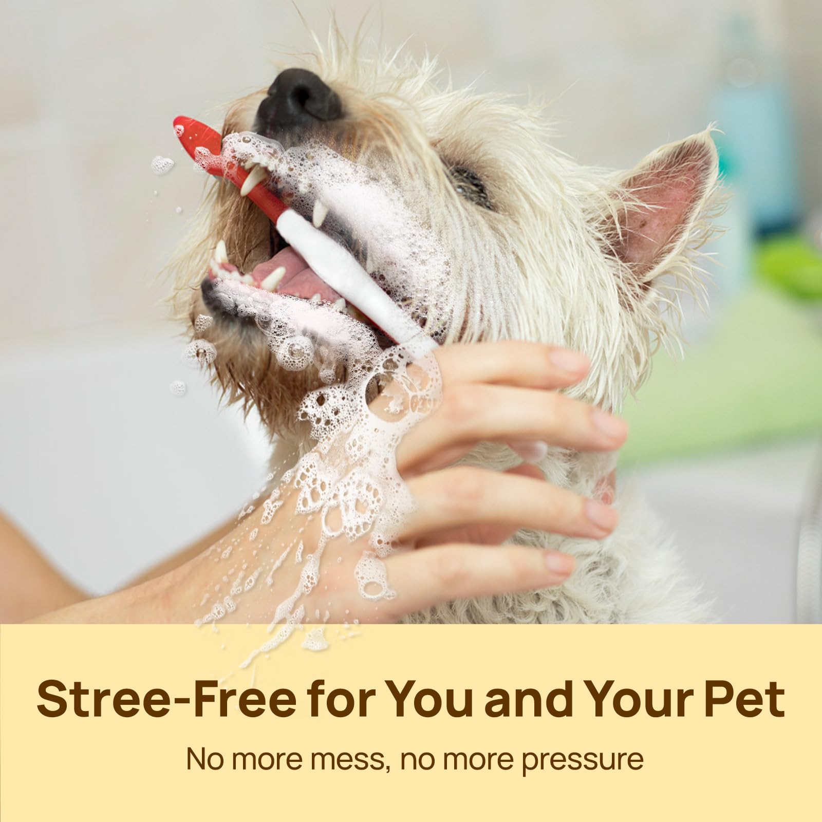 HICC PET Teeth Finger Wipes for Dogs & Cats, Vet-Recommended Teeth Cleaning Wipes, Removes Bad Breath, Plaque & Tartar, Fresh Breath Oral Care, Toothbrush & Toothpaste Alternative, Unscented 🍁 All In One Marketplace Canada