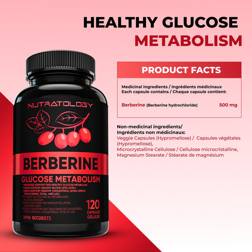 Nutratology® Berberine Supplement | Canadian-Made | Max Potency 500MG Per Capsule - Supports Glucose Metabolism & Healthy Blood Sugar Levels Through Efficient Metabolism Of Sugar & Fats - 120 Capsules 🍁 All In One Marketplace Canada