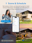 meross Smart Single Pole Light Switch 2 Pack, Apple HomeKit Supported 🍁 All In One Marketplace Canada