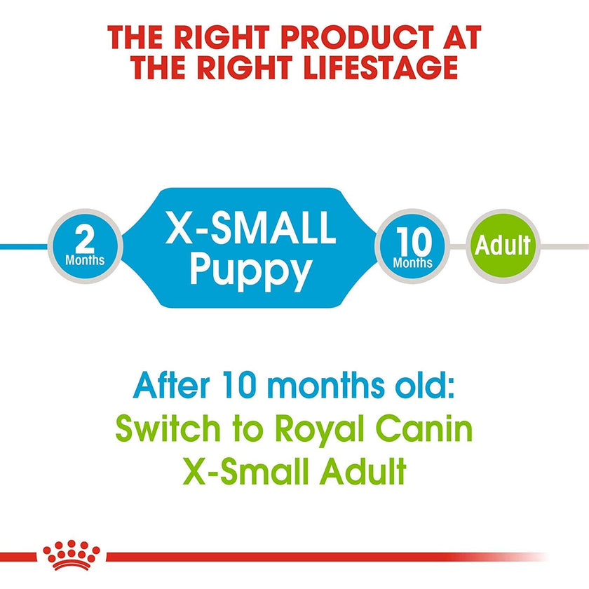 Royal Canin Size Health Nutrition X-Small Breed Dry Puppy Food, Supports Brain Development, Immune Support and Digestive Health, 3 lb Bag 🍁 All In One Marketplace Canada