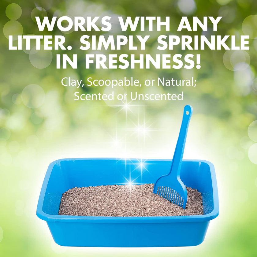 ARM & Hammer Cat Litter Deodorizer Double Duty, 20 oz, 6 Pack 🍁 All In One Marketplace Canada