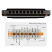 JDR Harmonica C, Blues armonica Key of C 10 Hole 20 Tone with Case Mouth Organ Standard Diatonic for Kids Beginner Adults Professional Player Teacher Parents Students Black New Year Gift 🍁 All In One Marketplace Canada