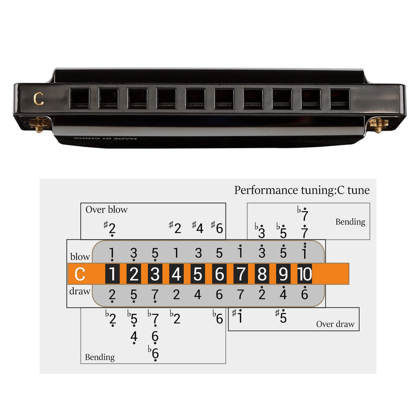JDR Harmonica C, Blues armonica Key of C 10 Hole 20 Tone with Case Mouth Organ Standard Diatonic for Kids Beginner Adults Professional Player Teacher Parents Students Black New Year Gift 🍁 All In One Marketplace Canada
