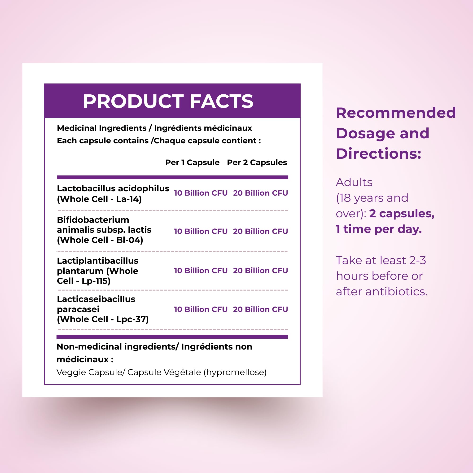Nutratology® Probiotics for Women | Canadian-Made | 40 Billion CFUs per Capsule | Bloating Relief & Digestion | 4 Strains of Women's Probiotic for Gut Health | 60 Capsules 🍁 All In One Marketplace Canada