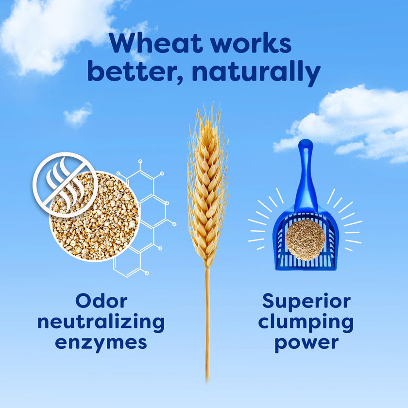 sWheat Scoop Natural Wheat Multi-Cat Litter, Superior Clumping with Odor Neutralizing Enzymes, 25 Pound Bag 🍁 All In One Marketplace Canada