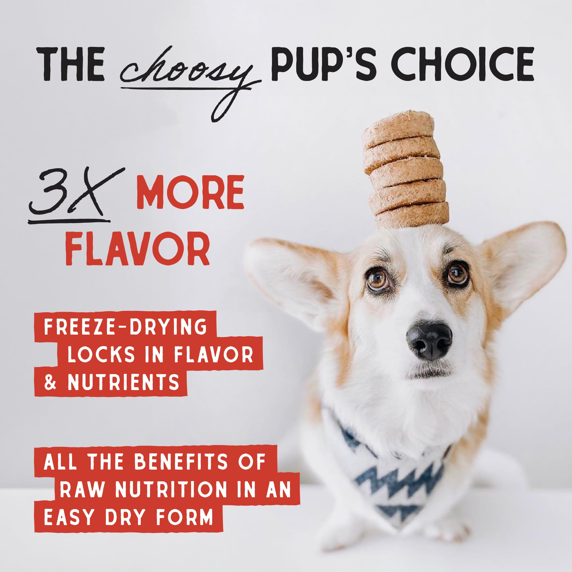 Stella & Chewy’s Freeze Dried Raw Dinner Patties – Grain Free Dog Food, Protein Rich Chewy’s Chicken Recipe – 708g Bag 🍁 All In One Marketplace Canada