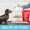 Stella & Chewy’s Freeze Dried Raw Dinner Patties – Grain Free Dog Food, Protein Rich Dandy Lamb Recipe – 708g Bag 🍁 All In One Marketplace Canada