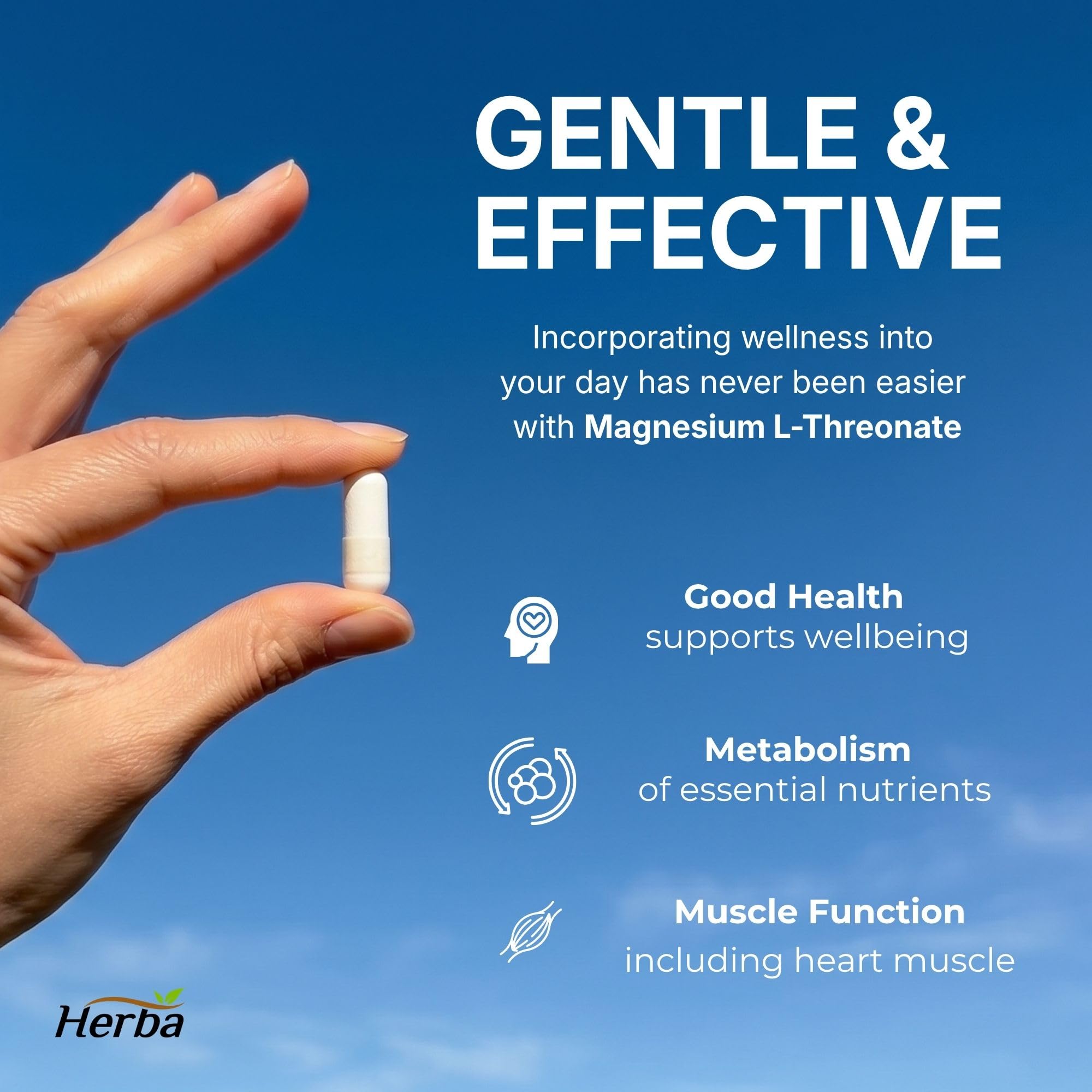Herba Magnesium L-Threonate – 2,250mg of Magnesium L Threonate Per Serving (3 Capsules) - 186mg of Elemental Magnesium | Bioavailable Form of Magnesium Supplement | 90 Vegetable Capsules | Made in Canada 🍁 All In One Marketplace Canada