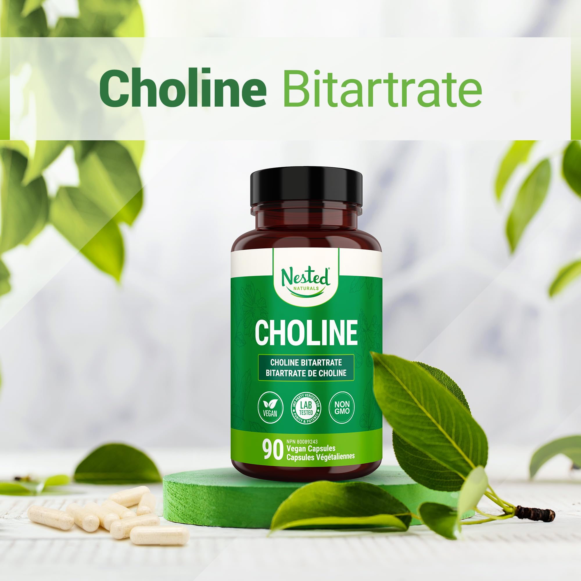 Nested Naturals Choline Bitartrate 500mg Per 2 Capsules | High Potency Choline Supplements | Supports Cognitive & Liver Function | 100% Vegan & Non-GMO Choline | 90 Vegan Capsules 🍁 All In One Marketplace Canada