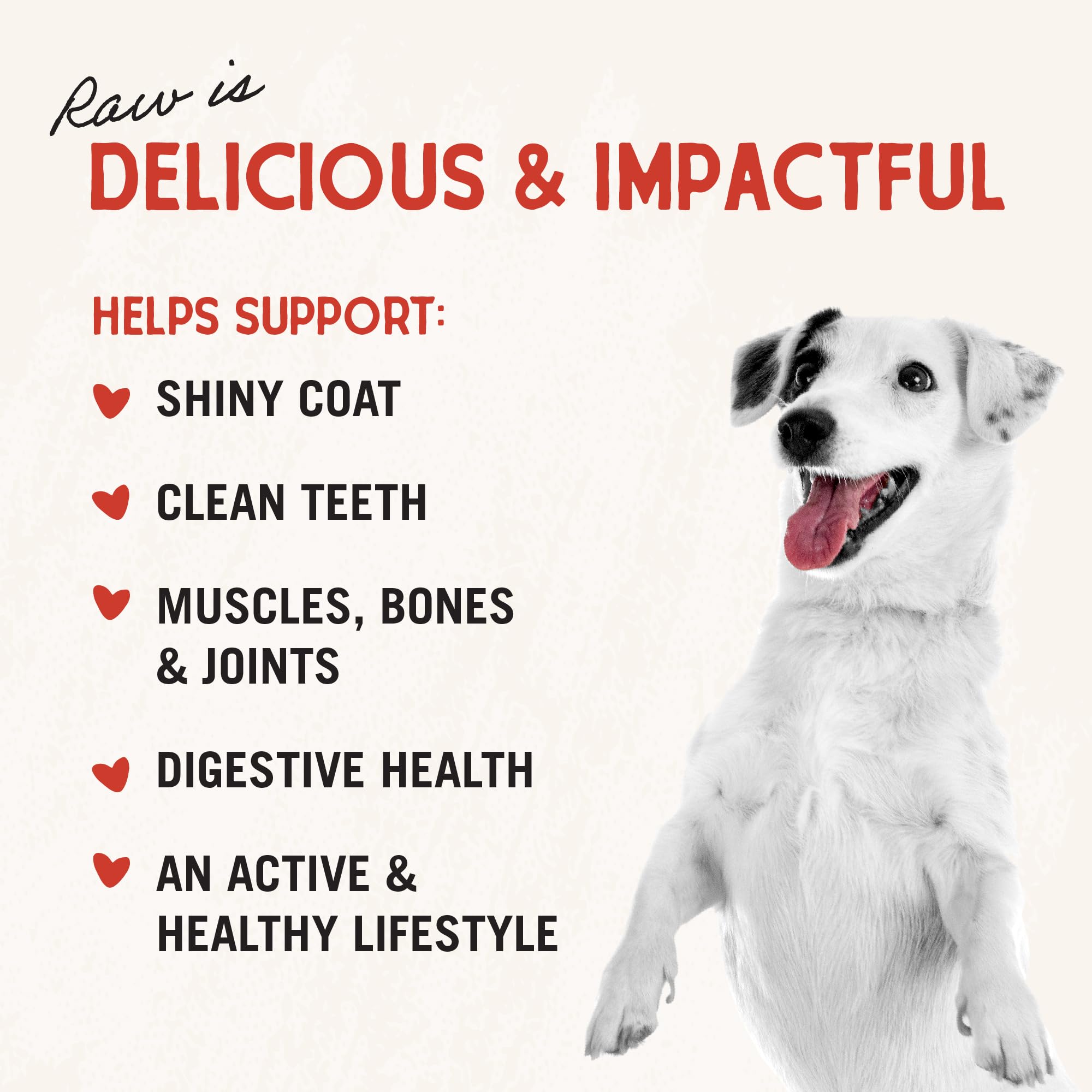 Stella & Chewy’s Freeze Dried Raw Super Beef Meal Mixer – Dog Food Topper for Small & Large Breeds – Grain Free, Protein Rich Recipe – 510g Bag 🍁 All In One Marketplace Canada