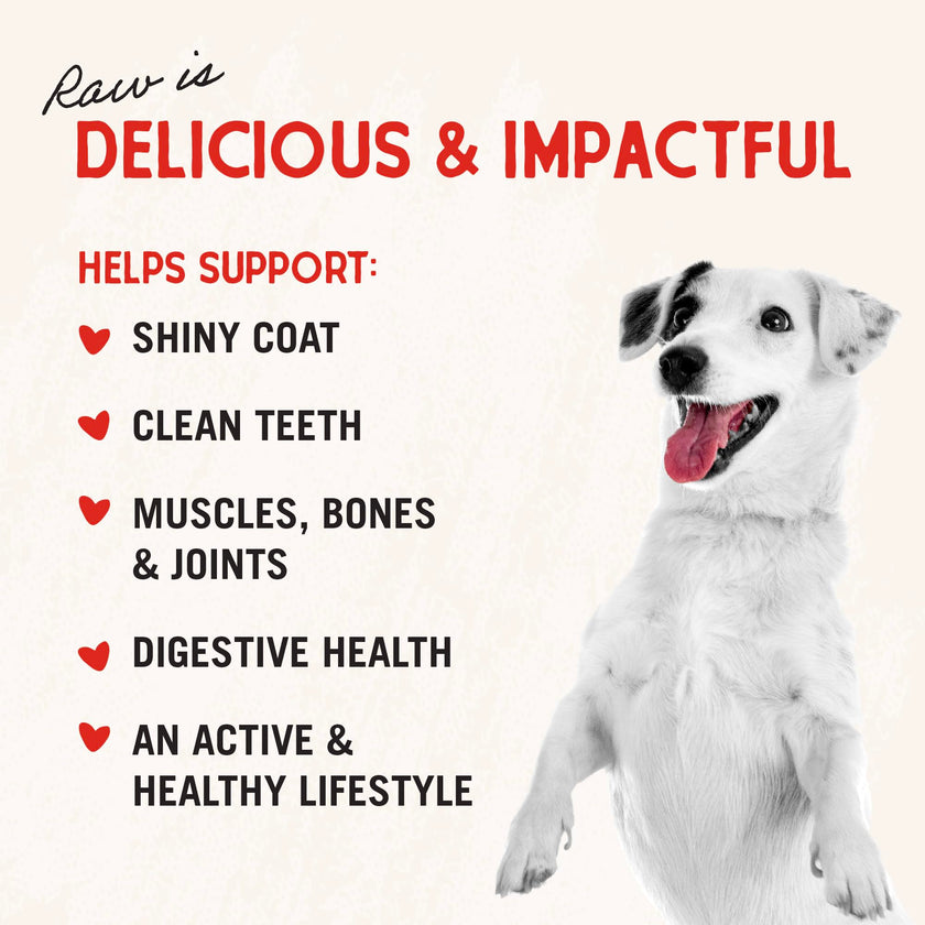 Stella & Chewy’s Freeze Dried Raw Dinner Patties – Grain Free Dog Food, Protein Rich Chewy’s Chicken Recipe – 708g Bag 🍁 All In One Marketplace Canada