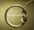 Dubmatique / Grande Succes(Memoire) - CD/DVD (Used)