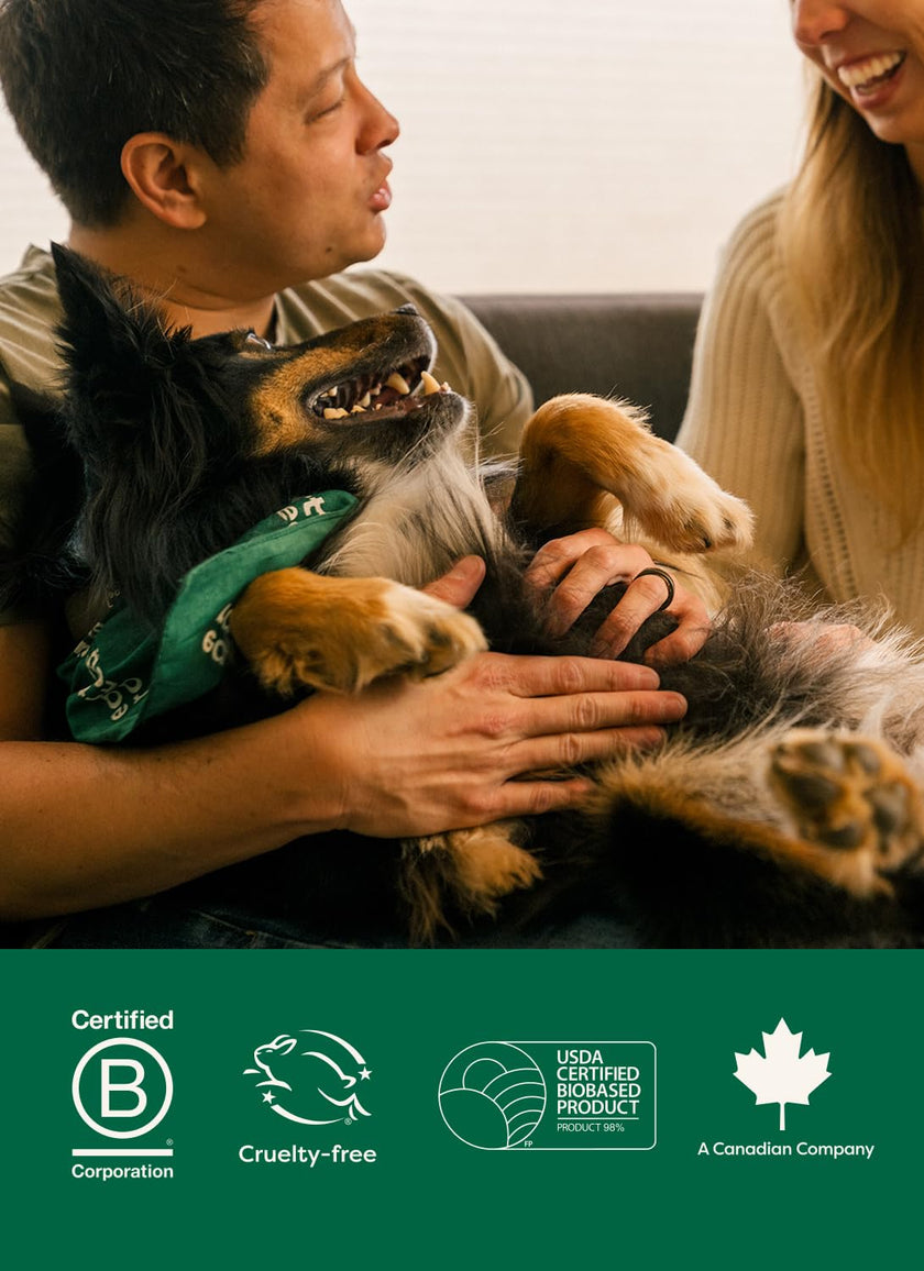 Earth Rated (A Canadian Company) Pet Wipes for Dogs and Cats, Hypoallergenic, 3-in-1 Cleaning, Deodorizing and Hydrating, for Grooming Paws, Body and Butt, New White Tea and Basil Scent, 400 Count 🍁 All In One Marketplace Canada