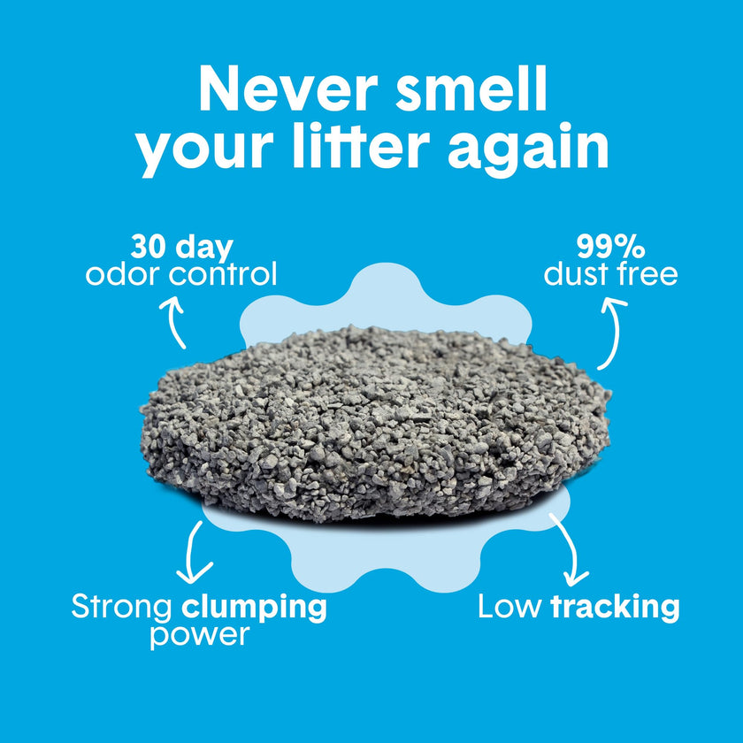 Boxie® Unscented 30 Day Odor Control Clumping Clay Cat & Kitty Litter 16 lb, 99.9% Dust-Free, Hard Flat Top® Clumps, No Fragrances No Fillers, Long-Lasting, Easy to Scoop 🍁 All In One Marketplace Canada