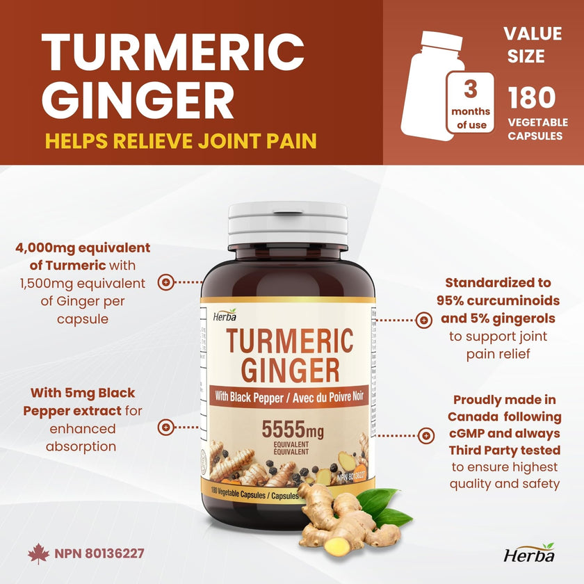 Herba Turmeric Supplements for Inflammation with Black Pepper and Ginger - 180 Capsules | 5,555mg Equiv. with 95% Turmeric Curcumin Supplements with Black Pepper | Joint Pain Relief | Made in Canada 🍁 All In One Marketplace Canada