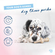 Benebone Puppy 2-Pack Maplestick/Zaggler Dog Chew Toys, Dog Bones, Tiny 🍁 All In One Marketplace Canada